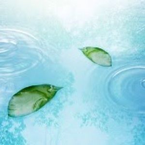 Meet your Posher, Van